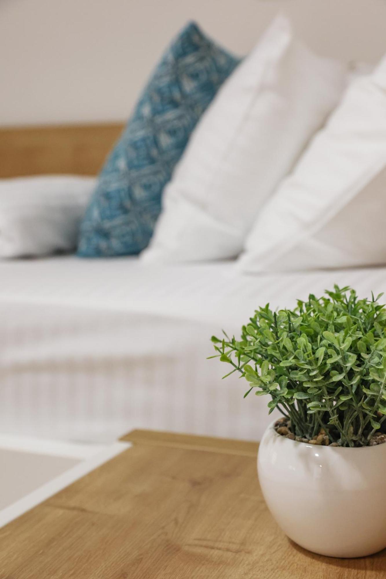 Grand Park Rooms & Apartments Čačak Екстериор снимка